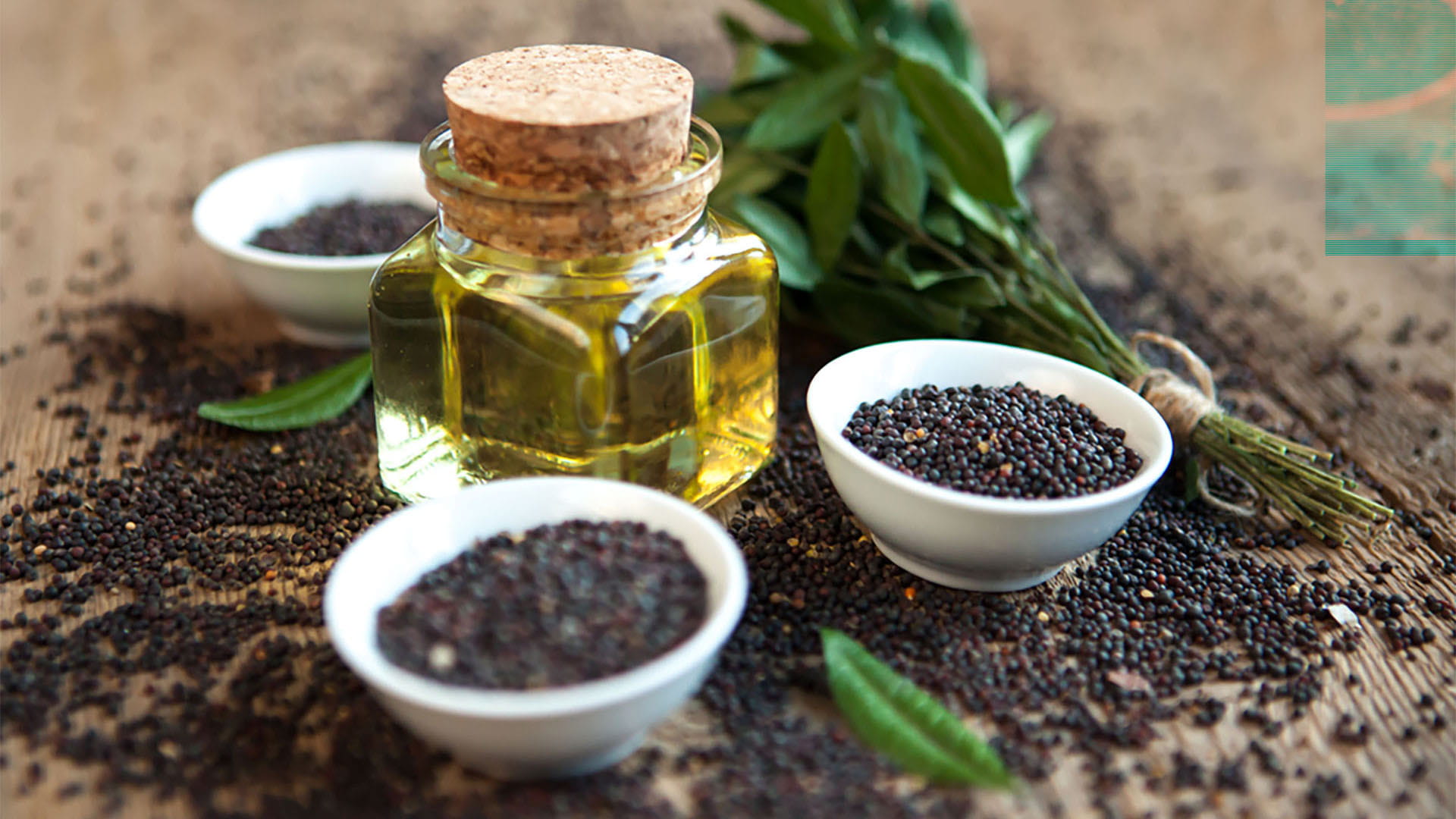 Article, How is Becel made? | Our Simple and Delicious Formula